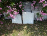 Naturally pink - gravestones at Dockyard