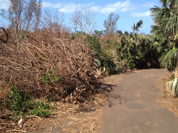 Somers Hill after Hurricane Gonzalo