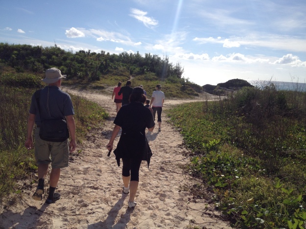 Bermuda PKD Walk 2015